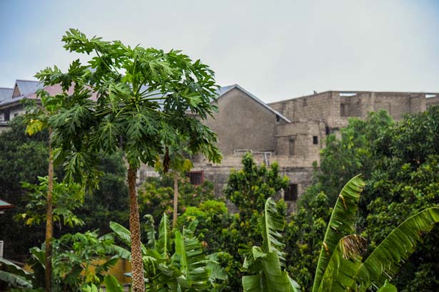 A view of Kinshasa, CD